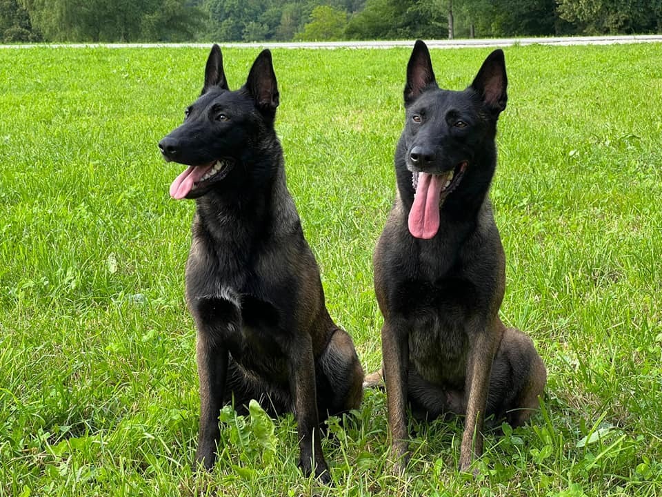 Lois & Taskin